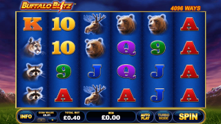 Buffalo Blitz Buffalo Blitz