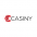 Casiny Casino review Casiny Casino review