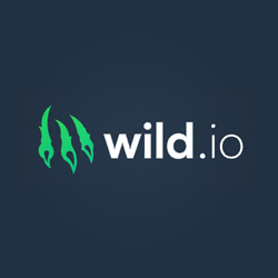 Wild.io Casino review