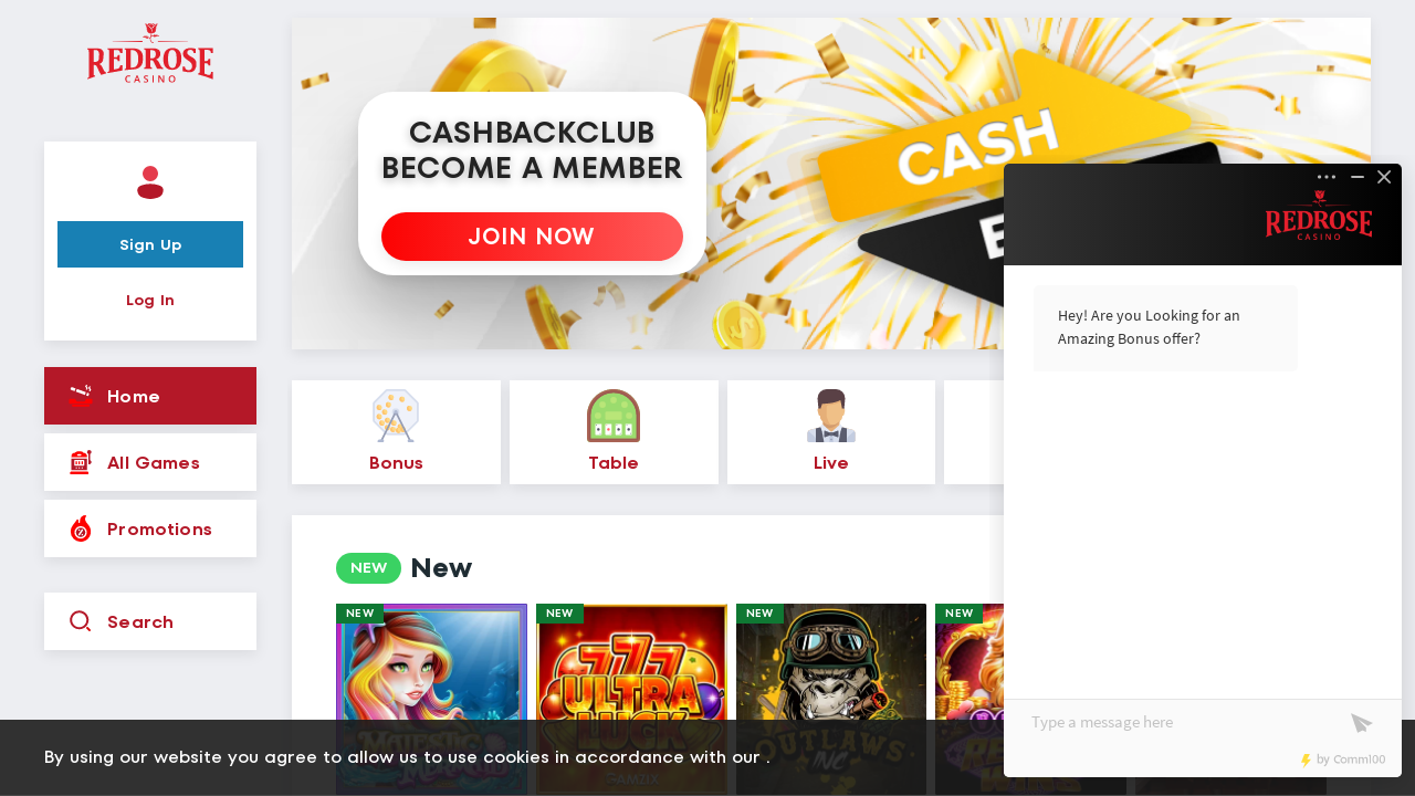 RedRose Casino review Screenshot RedRose Casino review Screenshot