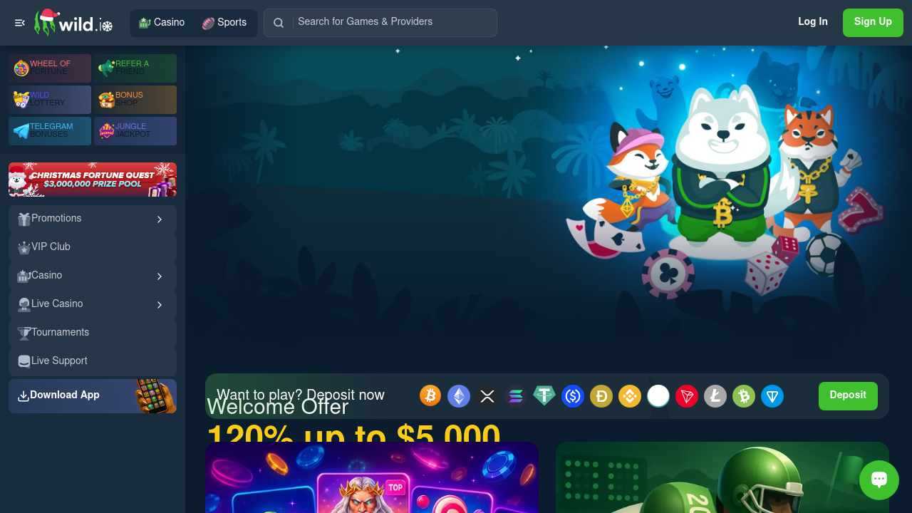 Wild.io Casino review Screenshot