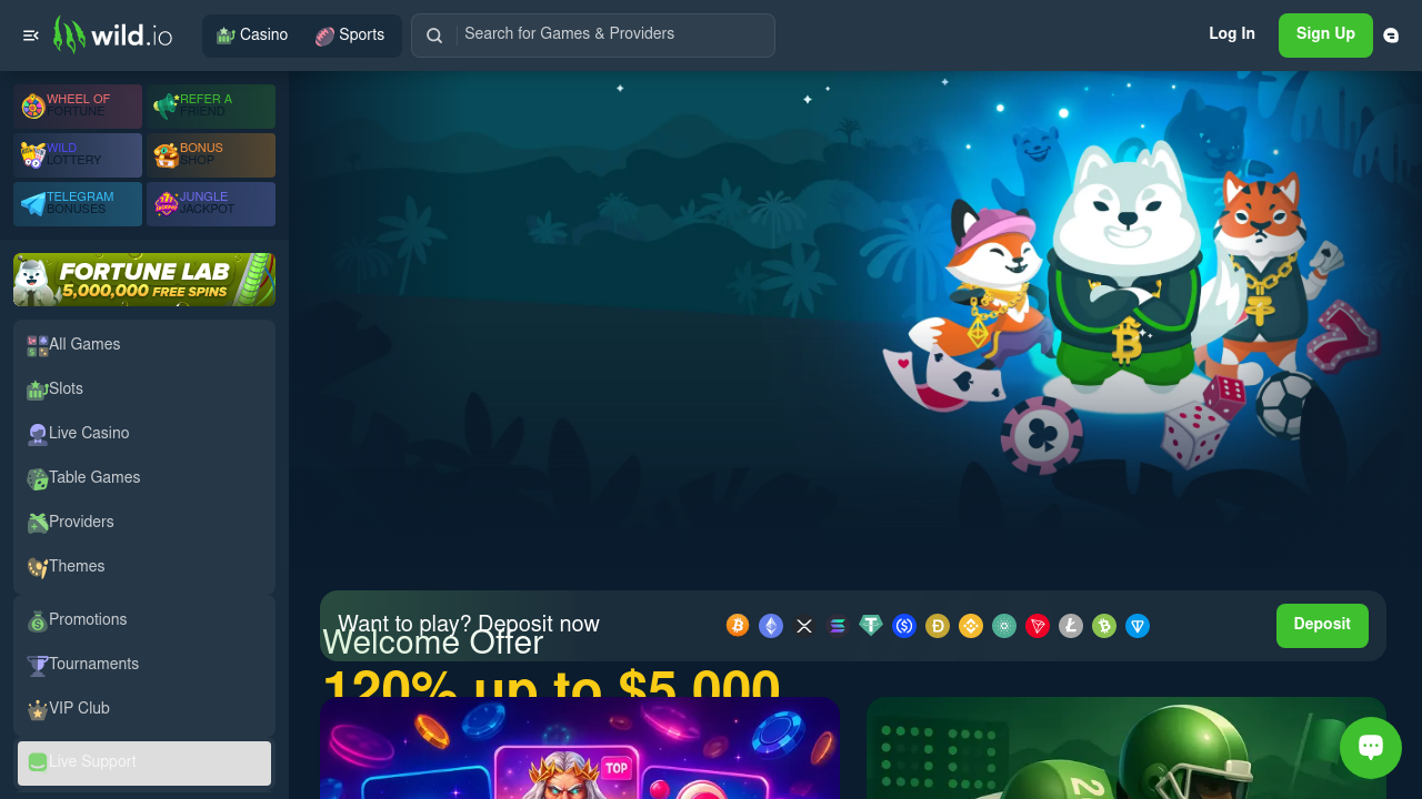 Wild.io Casino review Screenshot