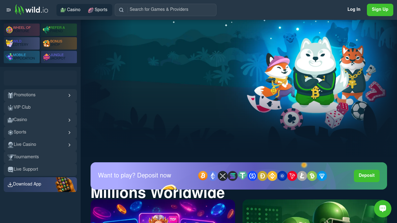 Wild.io Casino review Screenshot