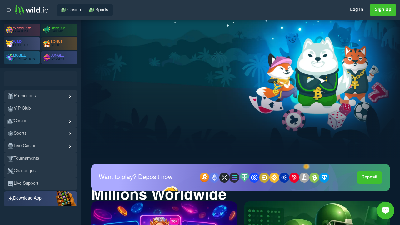 Wild.io Casino review Screenshot