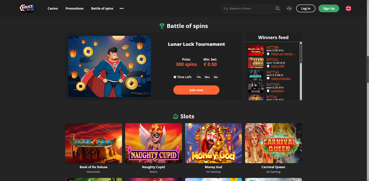 Bruce Bet Casino review Screenshot