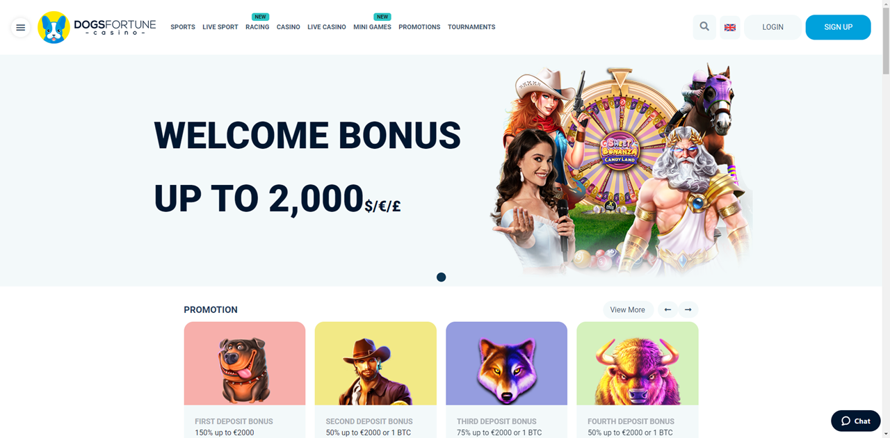 DogsFortune Casino review Screenshot