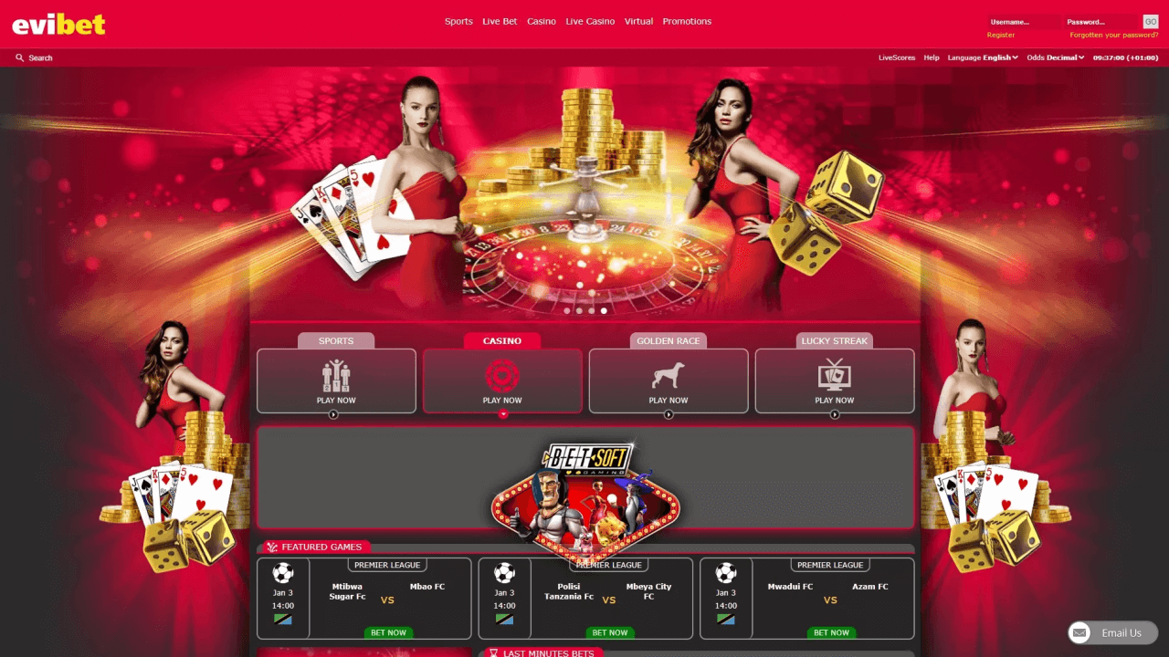 Evibet review Screenshot Evibet review Screenshot